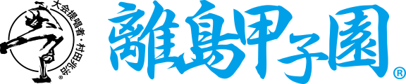 離島甲子園